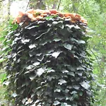 Spreewaldunterkunft Buchecker Daire Lübben