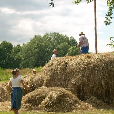 Spreewaldunterkunft Buchecker Апартаменты *