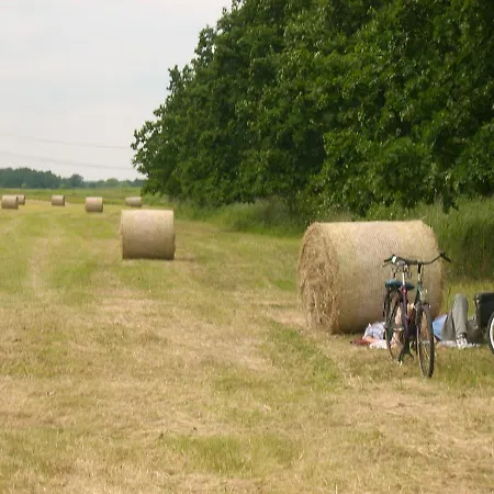Spreewaldunterkunft Buchecker * Lübben