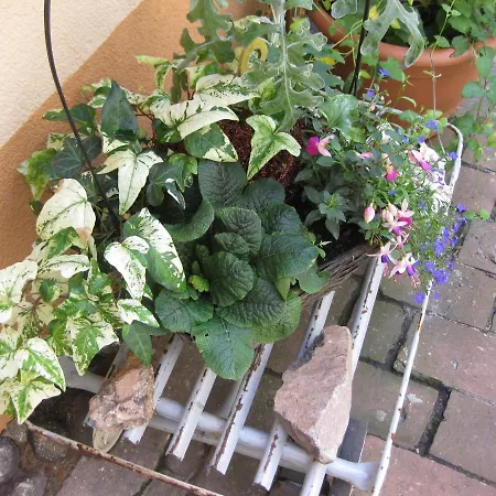 Spreewaldunterkunft Buchecker Lägenhet *