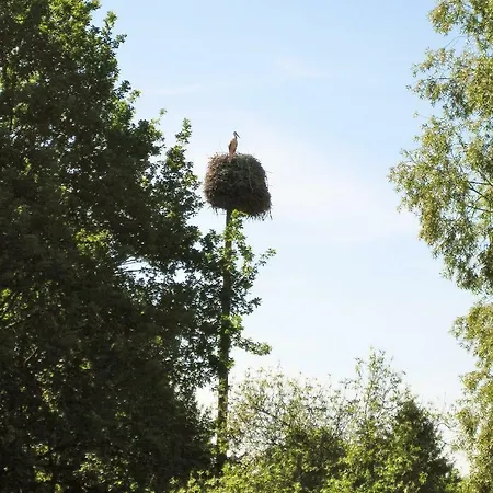 Апартаменты Spreewaldunterkunft Buchecker *