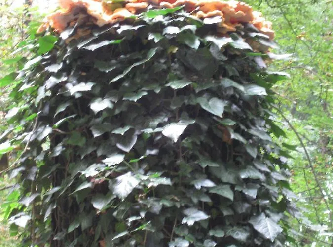 Spreewaldunterkunft Buchecker Lägenhet Lübben