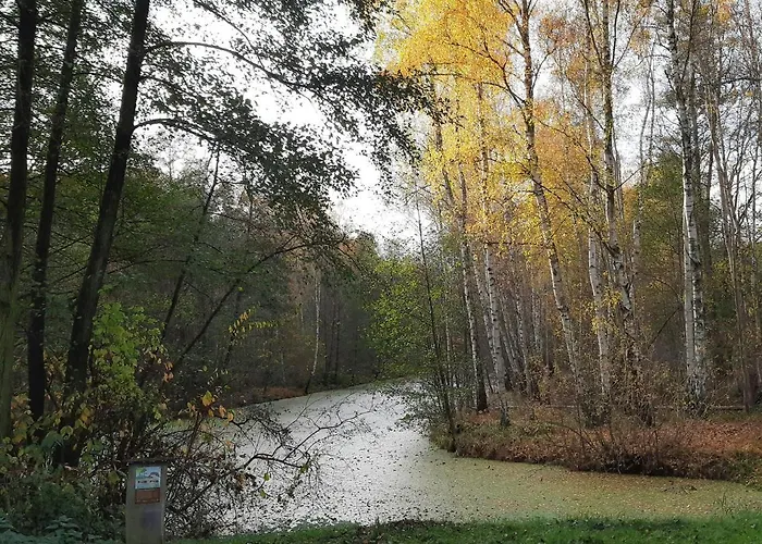 Spreewaldunterkunft Buchecker * Lübben