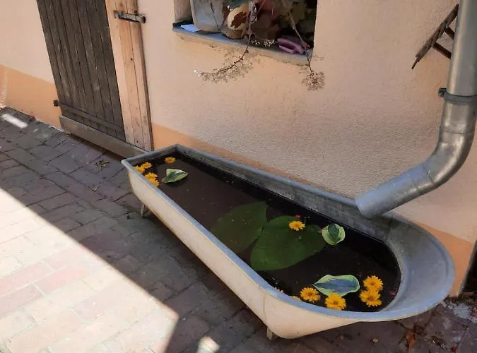 Spreewaldunterkunft Buchecker Lübben