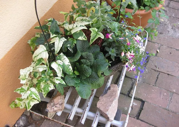 Spreewaldunterkunft Buchecker アパート *