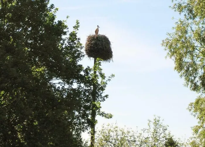 Lägenhet Spreewaldunterkunft Buchecker *